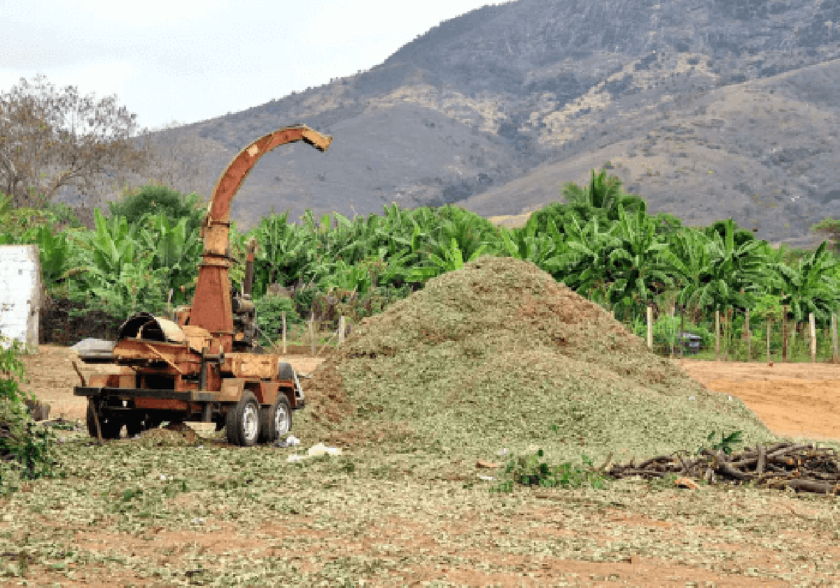 Meio Ambiente e Sustentabilidade