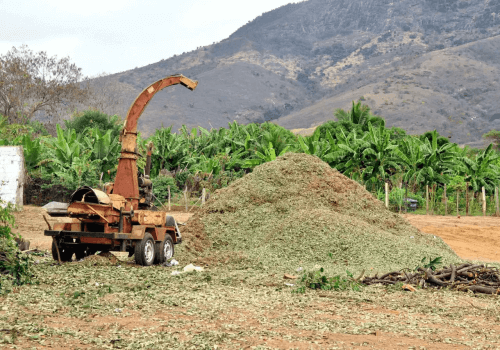 Meio Ambiente e Sustentabilidade